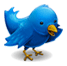 twitter (6)