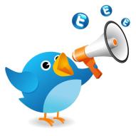 tweet bird with megaphone