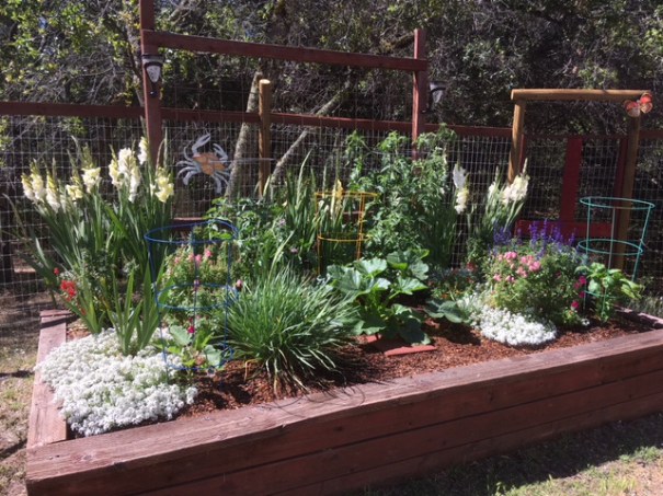 garden, main 6-18-20
