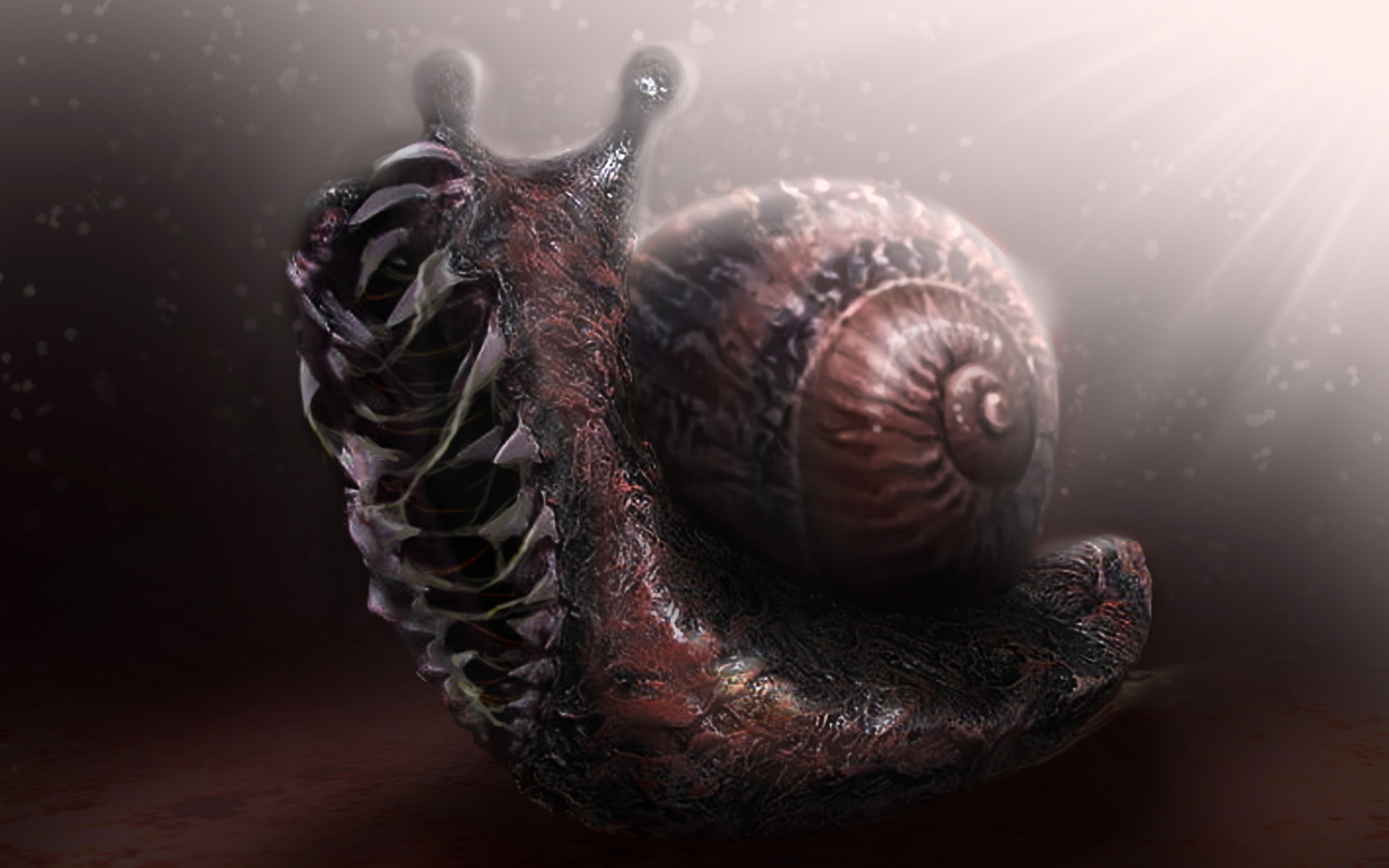 Clyde snail